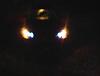 96-99 projector angel eyes-dsc00001.jpg