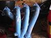 Airmass Dc Sport Header Cheap!!!!!-airmass.jpg