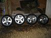 FS: GSR Fat Fives-4.jpg