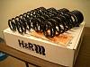 1WEEK OLD H&amp;R SPRINGS 0-springs.jpg