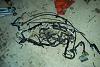 EF,EG,and DA teg parts also b-series Swap stuff-b18wiring.jpg