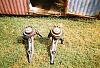 honda/acura parts-reardisc-brakes.jpg