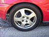 FS GSR Fat 5's-000_0299.jpg