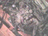 Rebuilt Acura Engine-motor3.gif