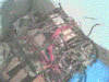 Rebuilt Acura Engine-motor6.gif