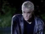 xtomxfallsx's Avatar